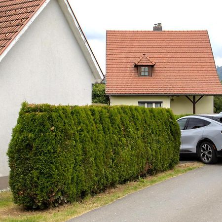 Sankt Lorenzen bei Knittelfeld Flat Bull Appartement Mit Garten מראה חיצוני תמונה